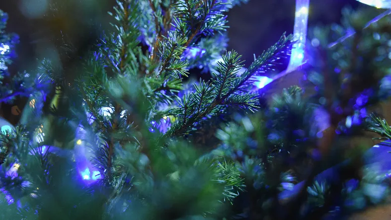 Фото: медиасток.рф