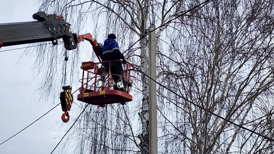 Фото: МедиаБанк Подмосковья/Анна Шолохова