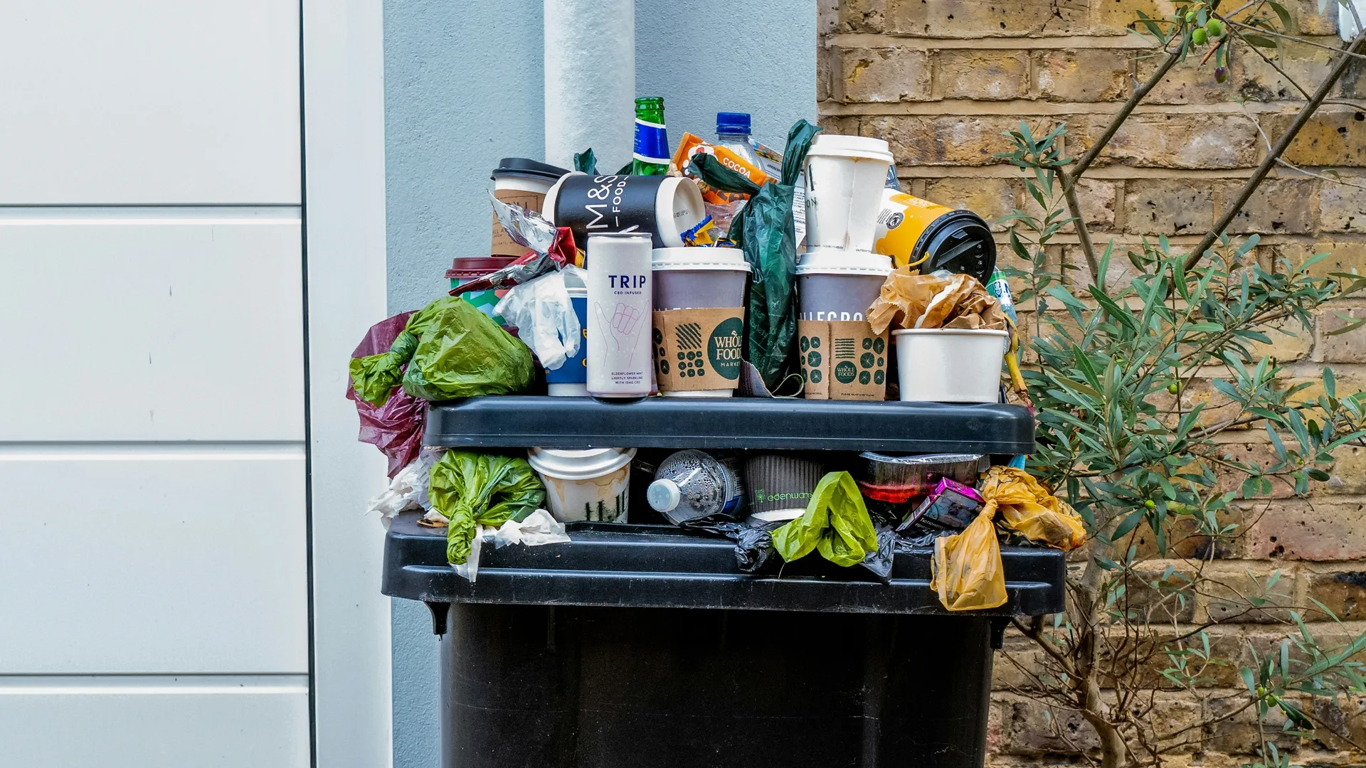 Фото: unsplash.com