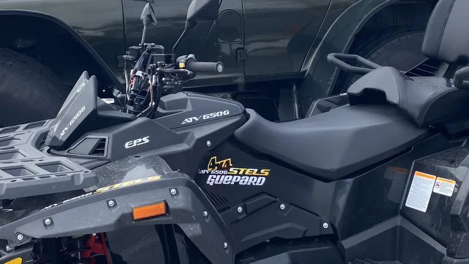 Фото: МедиаБанк Подмосковья/Олеся Киреева