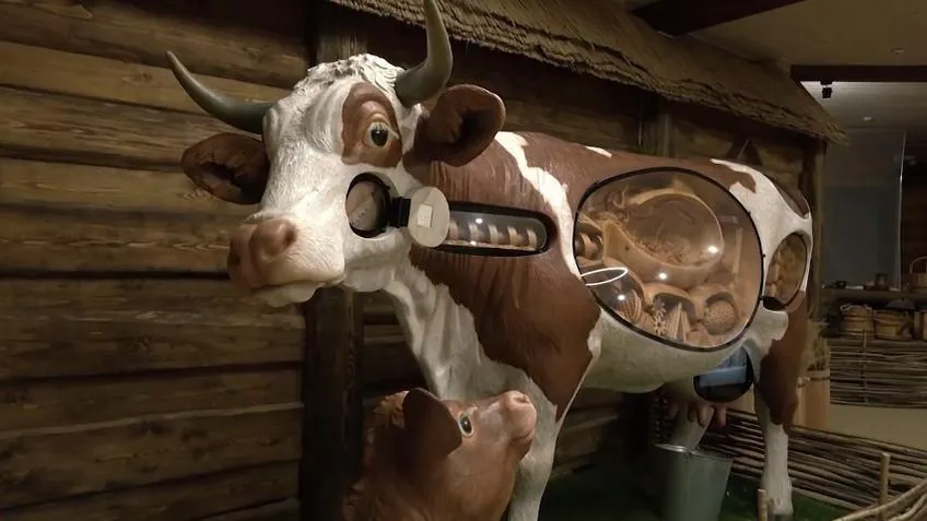 Телеканал "Пушкино ТВ"