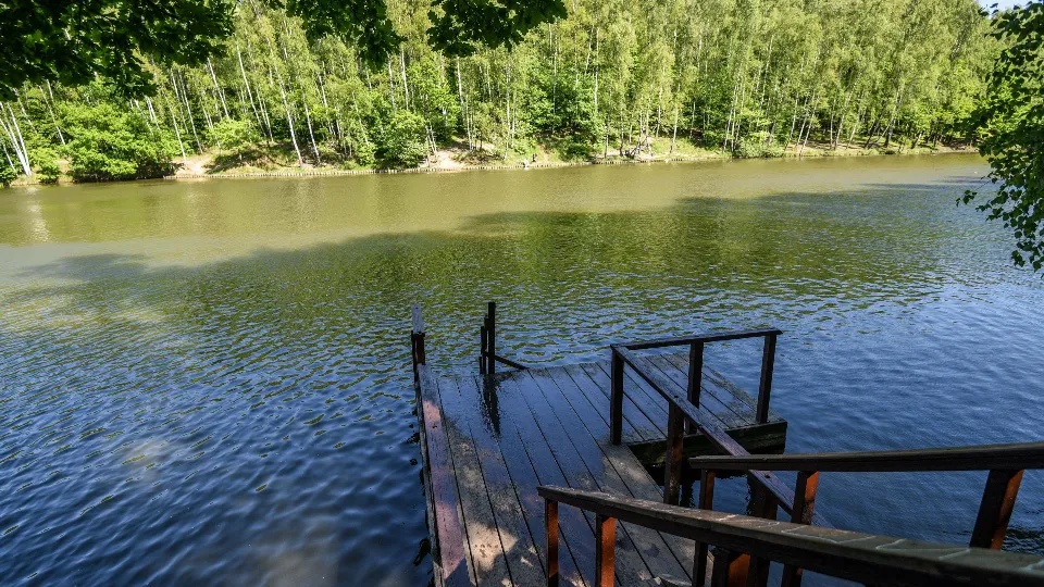 Фото: медиасток.рф