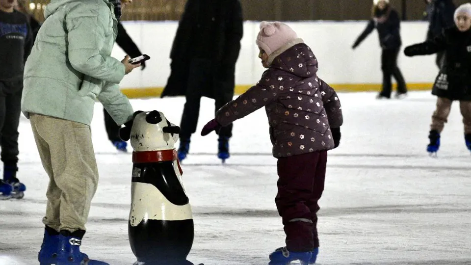 Фото: пресс-служба Администрации г.о. Солнечногорск