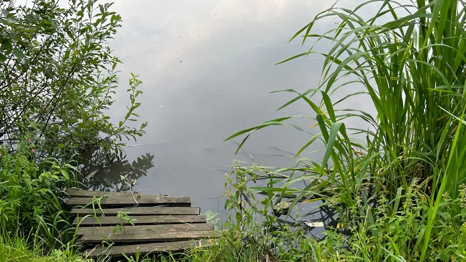 Фото: МедиаБанк Подмосковья/Евгения Корытько