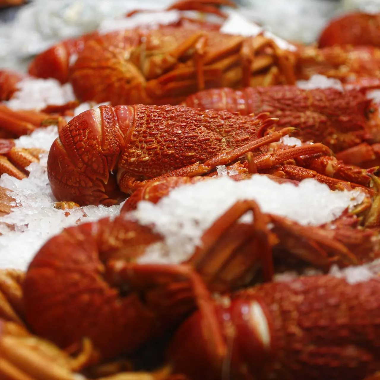 Ye Myo Khant/Keystone Press Agency