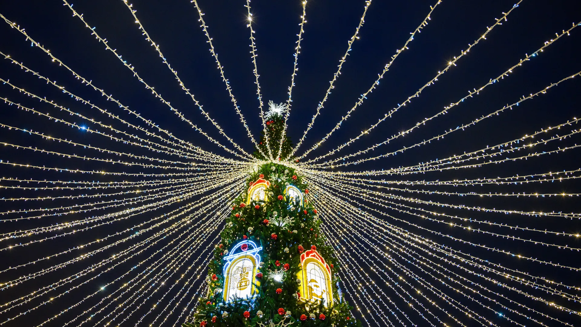 Фото: медиасток.рф