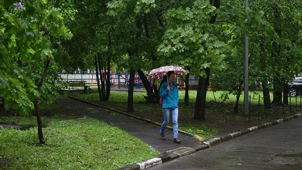 Фото: медиасток.рф