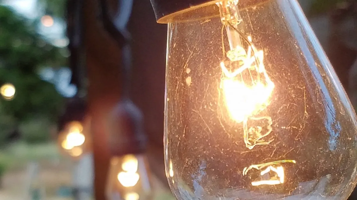 Фото: pxhere.com