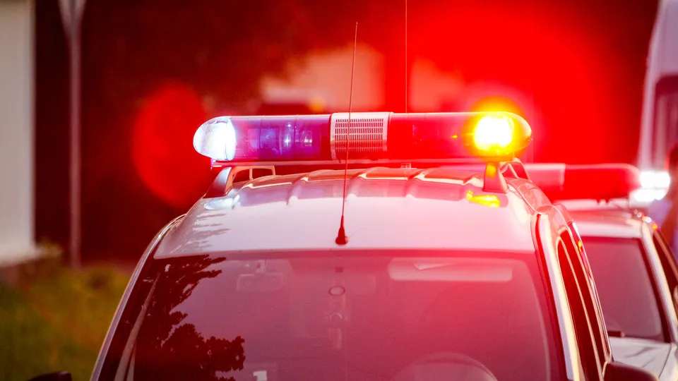 Фото: пресс-служба администрации г.о. Кашира