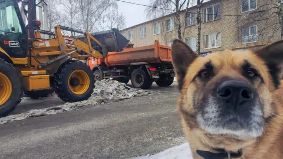 Фото: REGIONS/Наталья Надточая