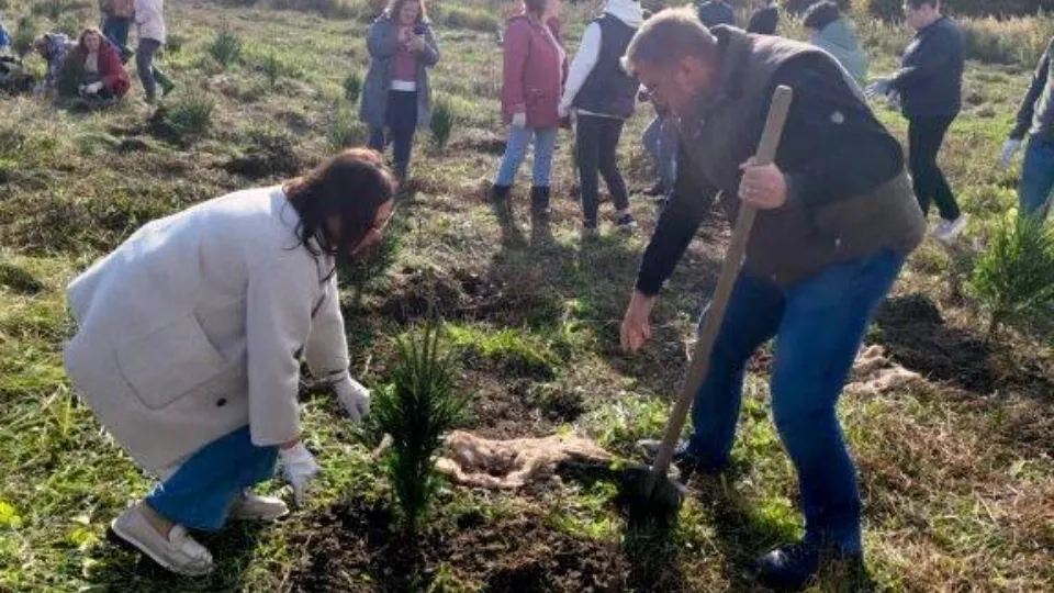 Фото: пресс-служба администрации г.о. Домодедово