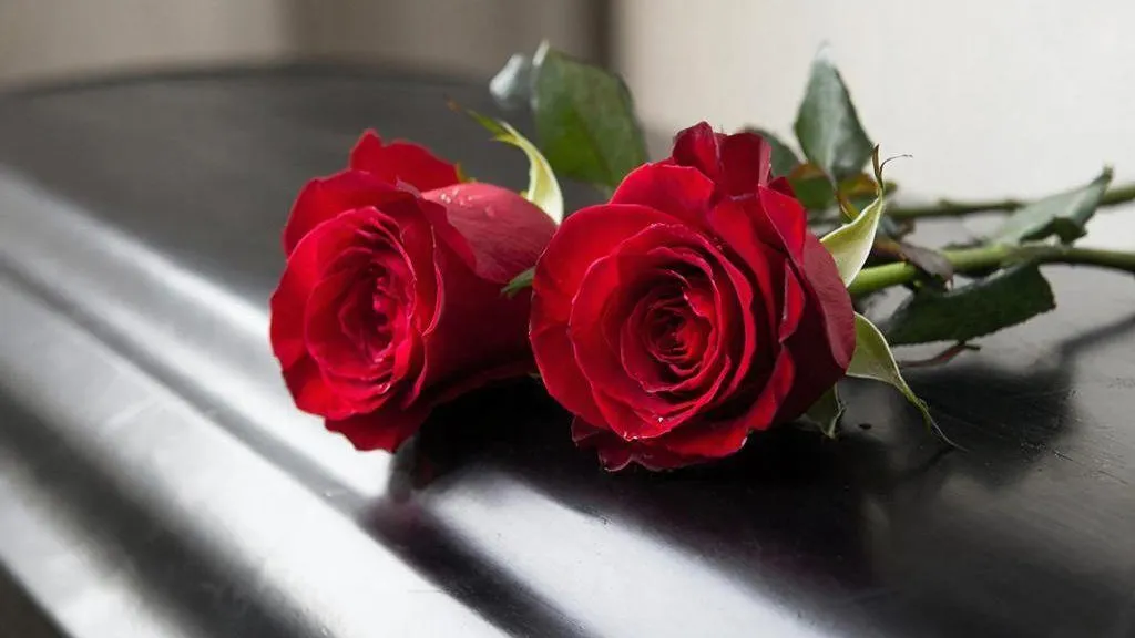 REGIONS/Сгенерировано нейросетью