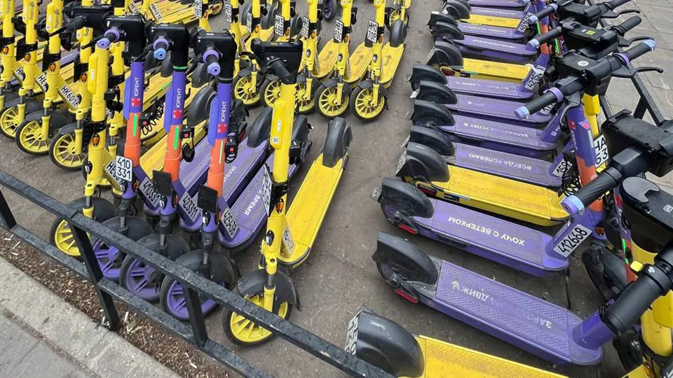 Фото: пресс-служба администрации Одинцовского г.о.