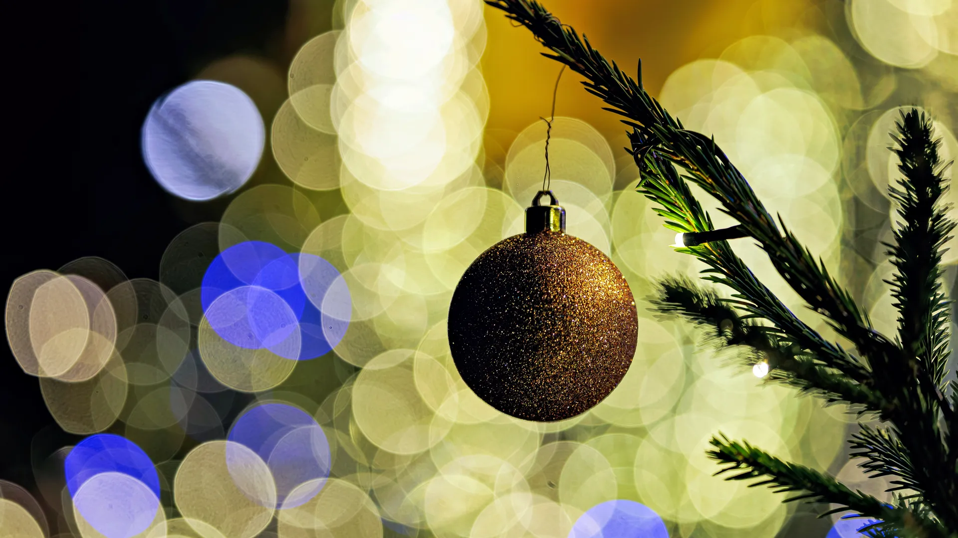 Елочные базары Москвы повергают в шок: названы цены на пихты, русские ели и датских красавиц