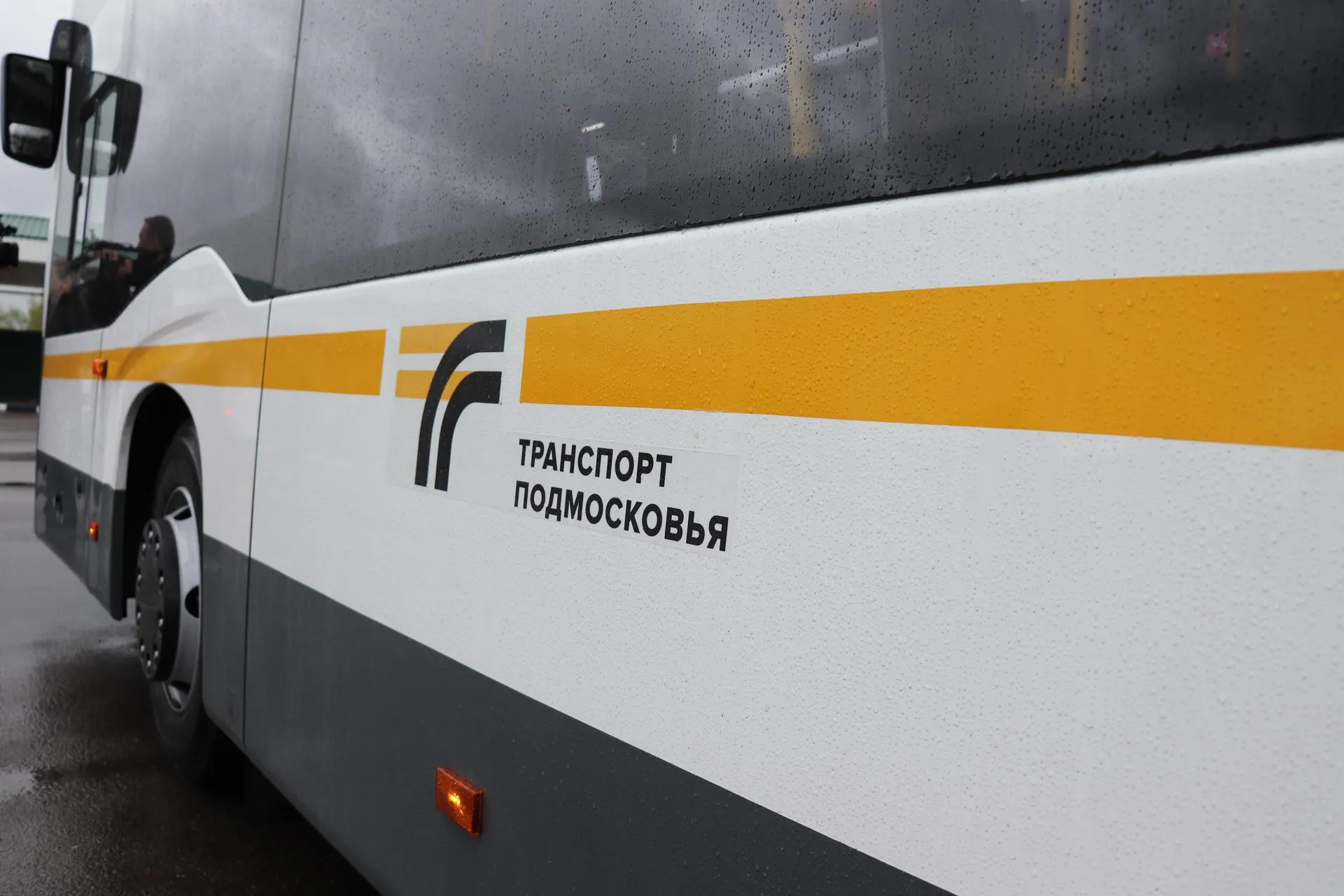 Фото: Василий Тремасов