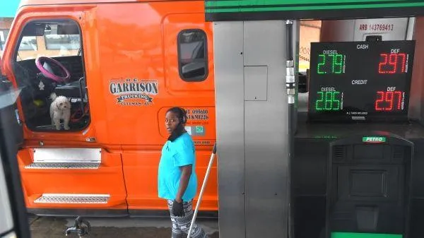 Сергей Мамонтов / РИА Новости