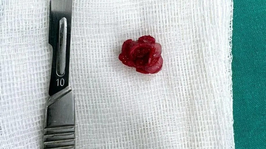 Министерство здравоохранения Московской области