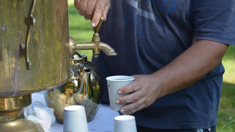 Фото: Михаил Мартыненко