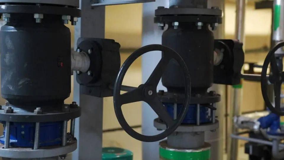 Фото: t.me/SoboleV_kotelniki