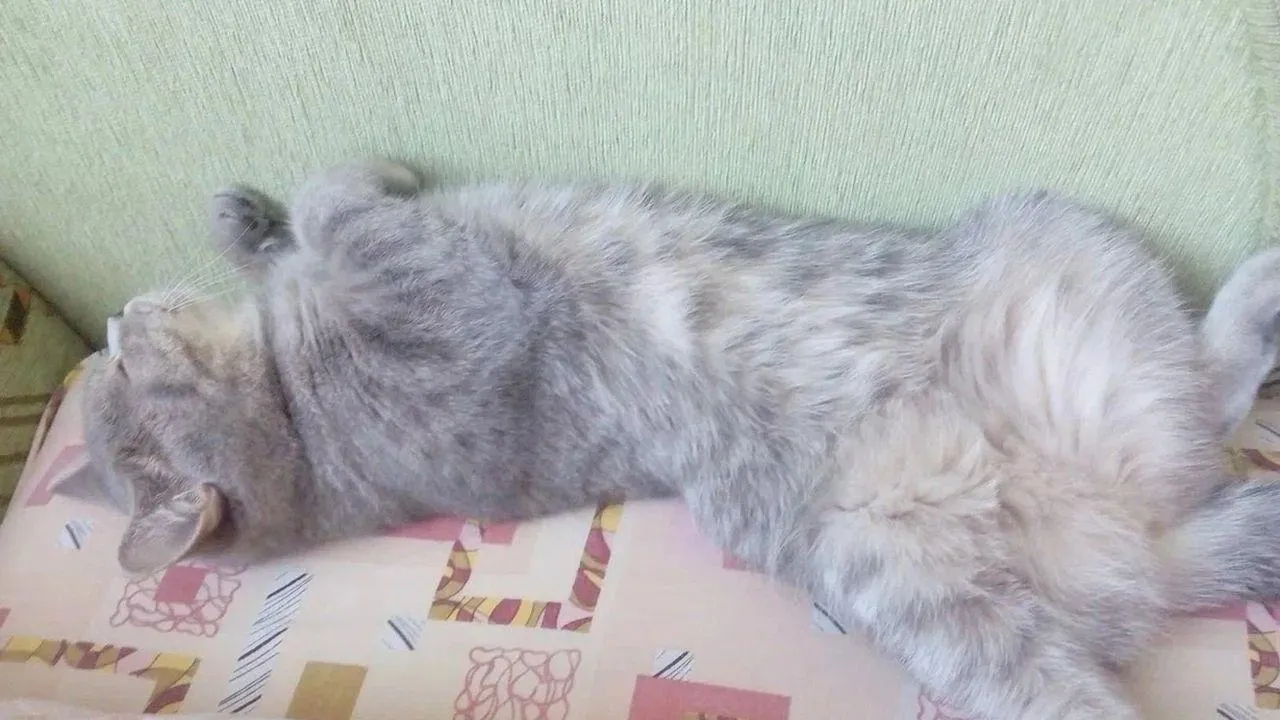 REGIONS/Наталья Надточая