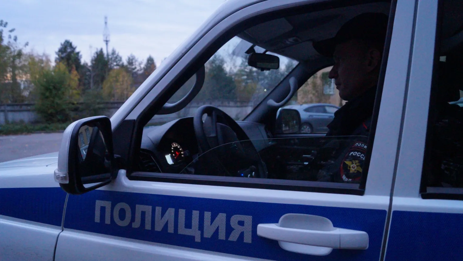 Фото: ОМВД России по Московской области
