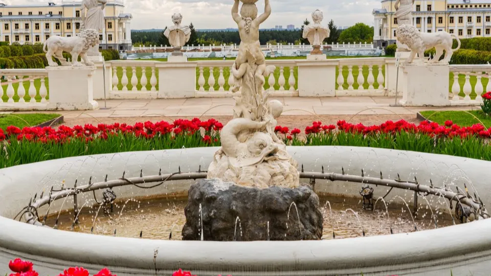 Фото: медиасток.рф