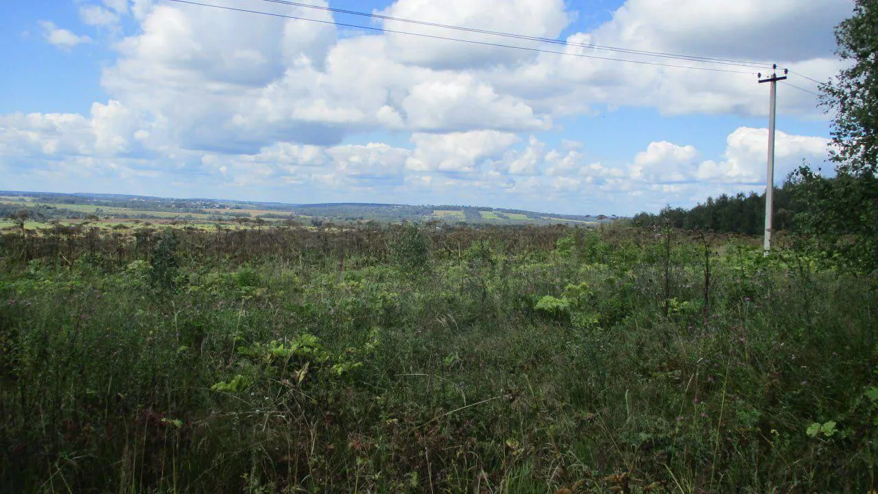 Министерство имущественных отношений Московской области