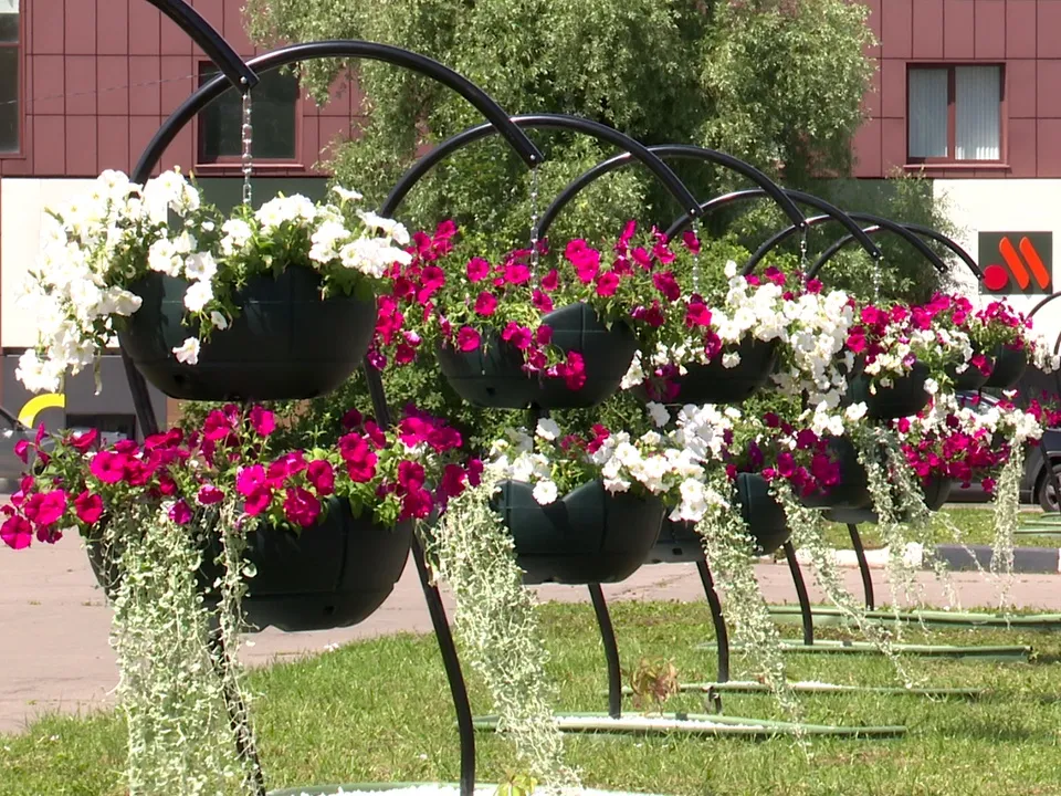 Фото: пресс-служба администрации г.о. Долгопрудный