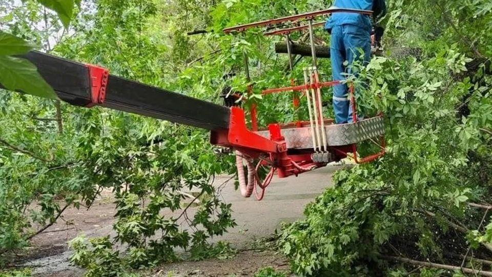 Фото: Министерство энергетики Московской области