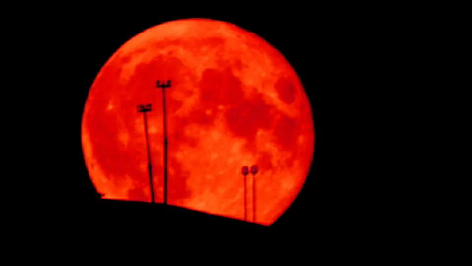 Фото: REGIONS/Александр Легкий