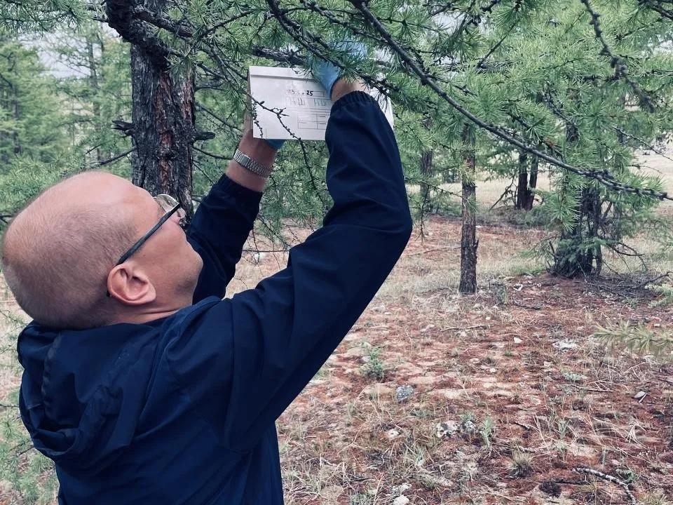 МедиаБанк Подмосковья/Ольга Стаферова