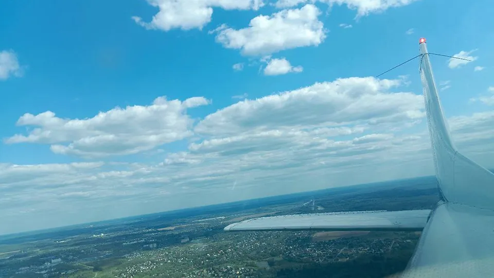 Фото: Комитет лесного хозяйства Московской области