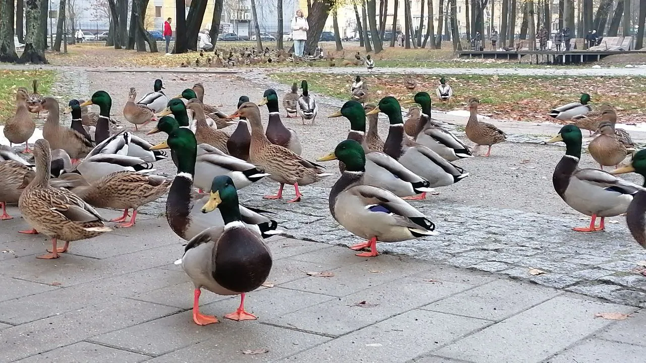 Фото: Наталья Дорофеева