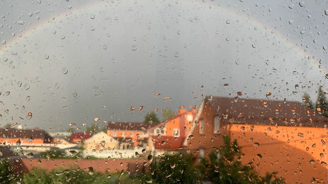 Фото: REGIONS/Елена Фурман