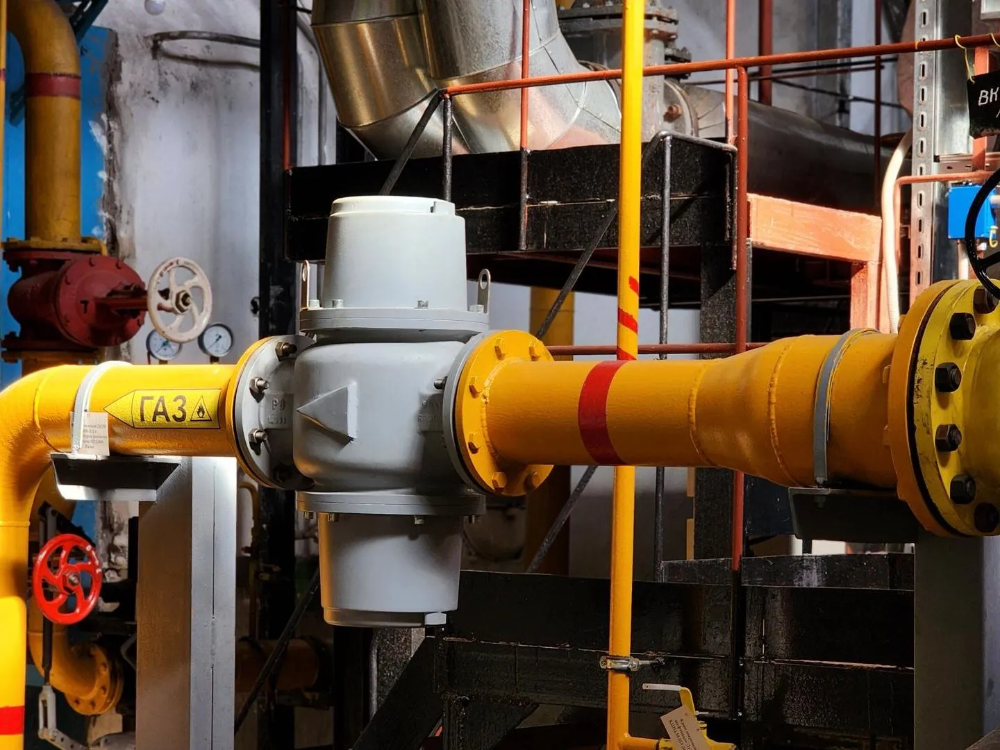 Фото: REGIONS/Валерия Тингаева