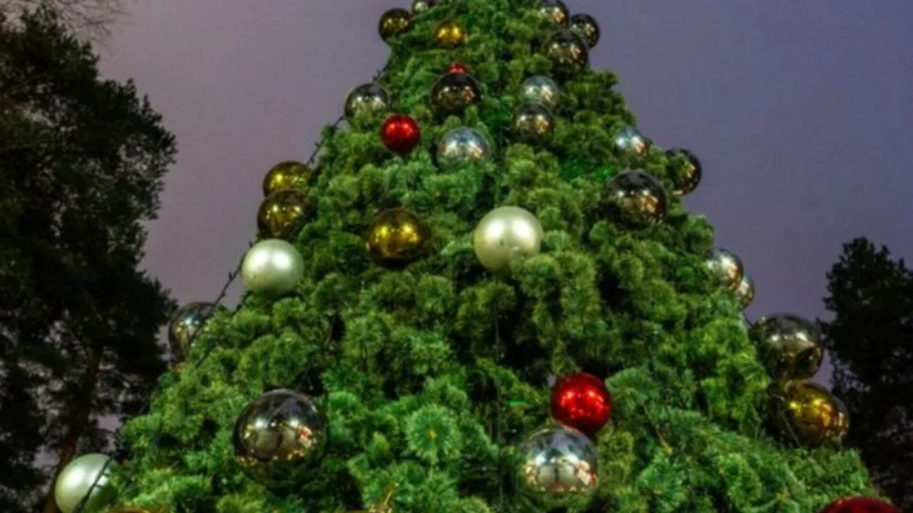 Фото: медиасток.рф