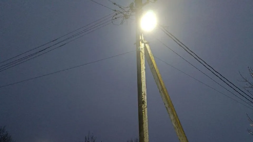 Фото: Администрация городского округа Истра