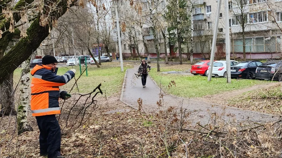 Фото: МедиаБанк Подмосковья/Андрей Алекин