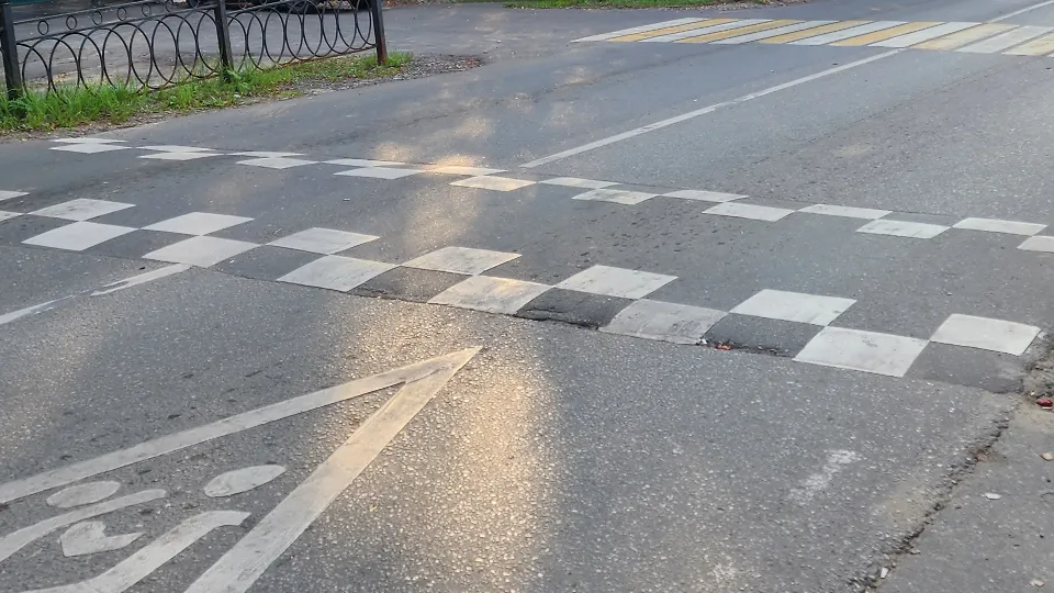 Фото: МедиаБанк Подмосковья/Дмитрий Алексеенко