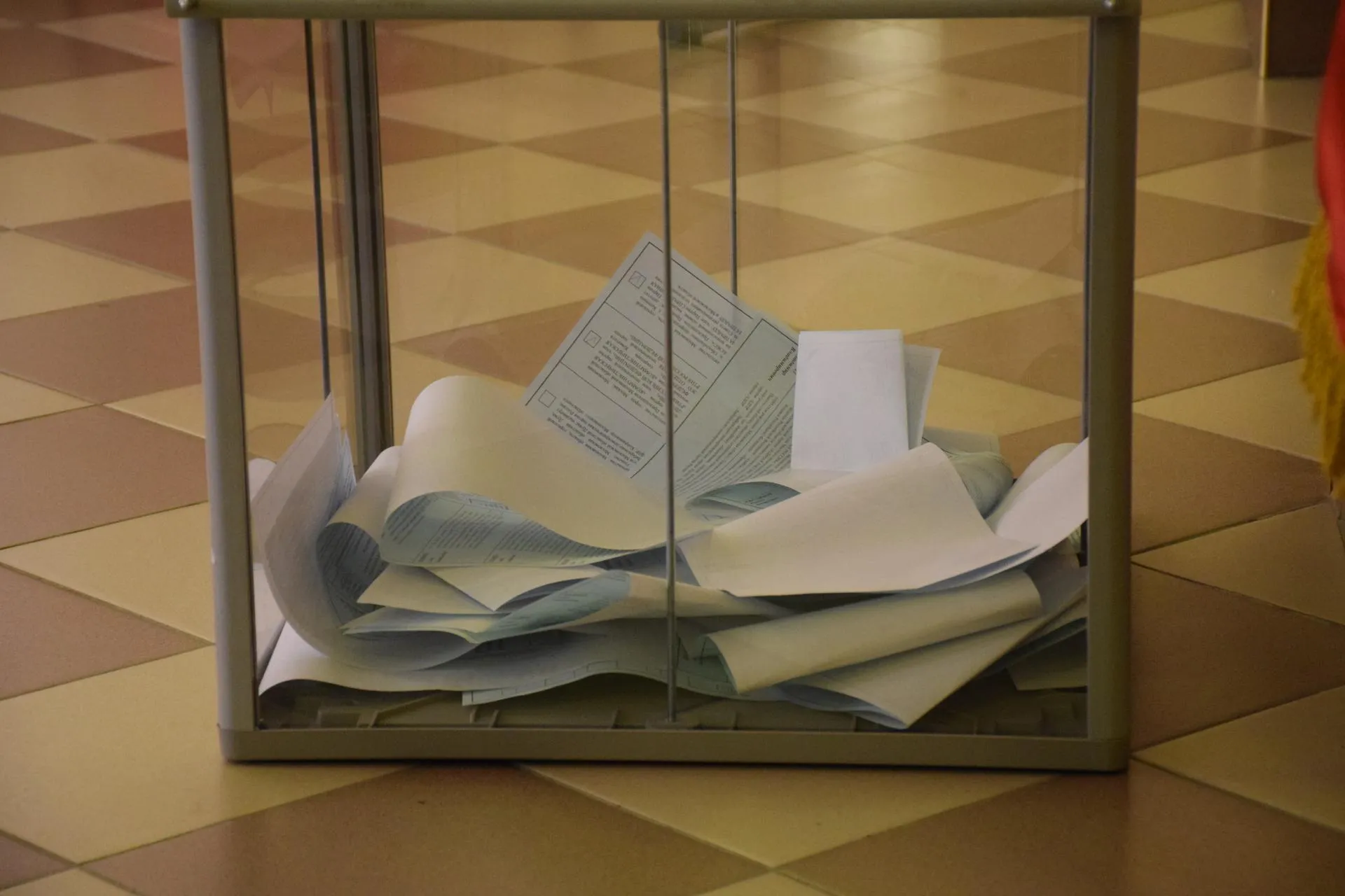 Источник: Алена Притула