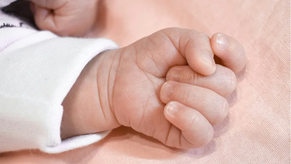 Фото: unsplash.com