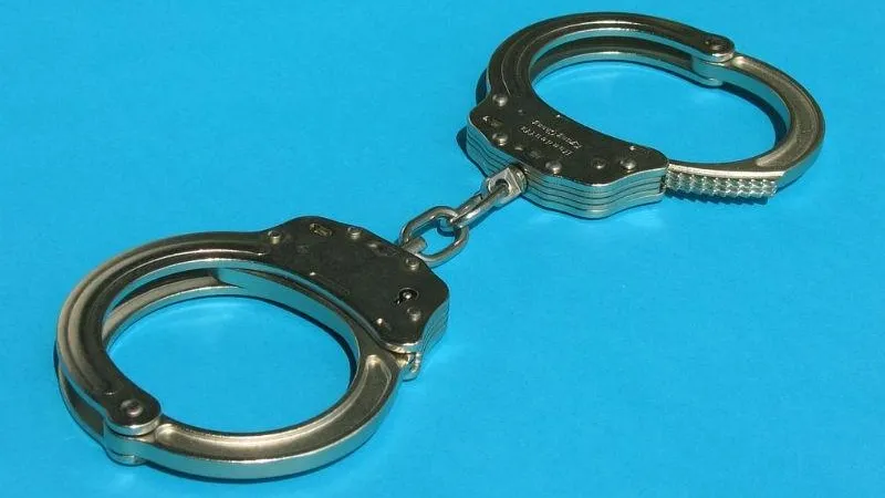 Полицейские Талдомского района поймали серийного вора