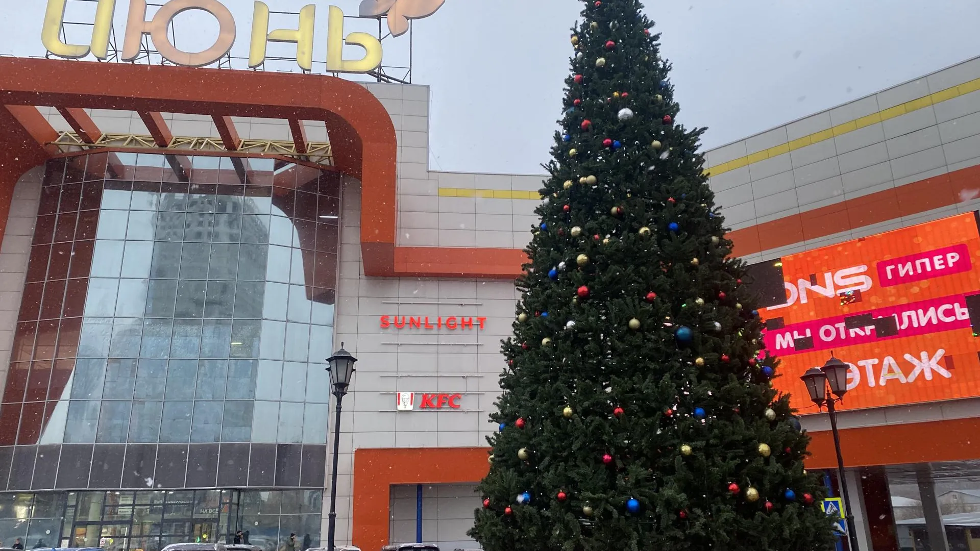 Егор Коновалов