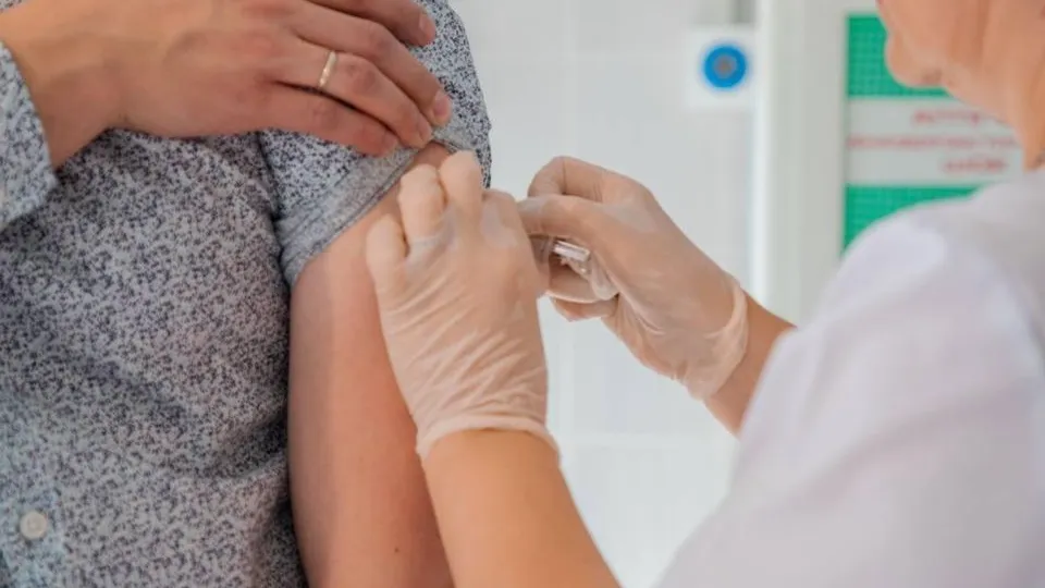 Фото: пресс-служба Администрации г.о. Домодедово