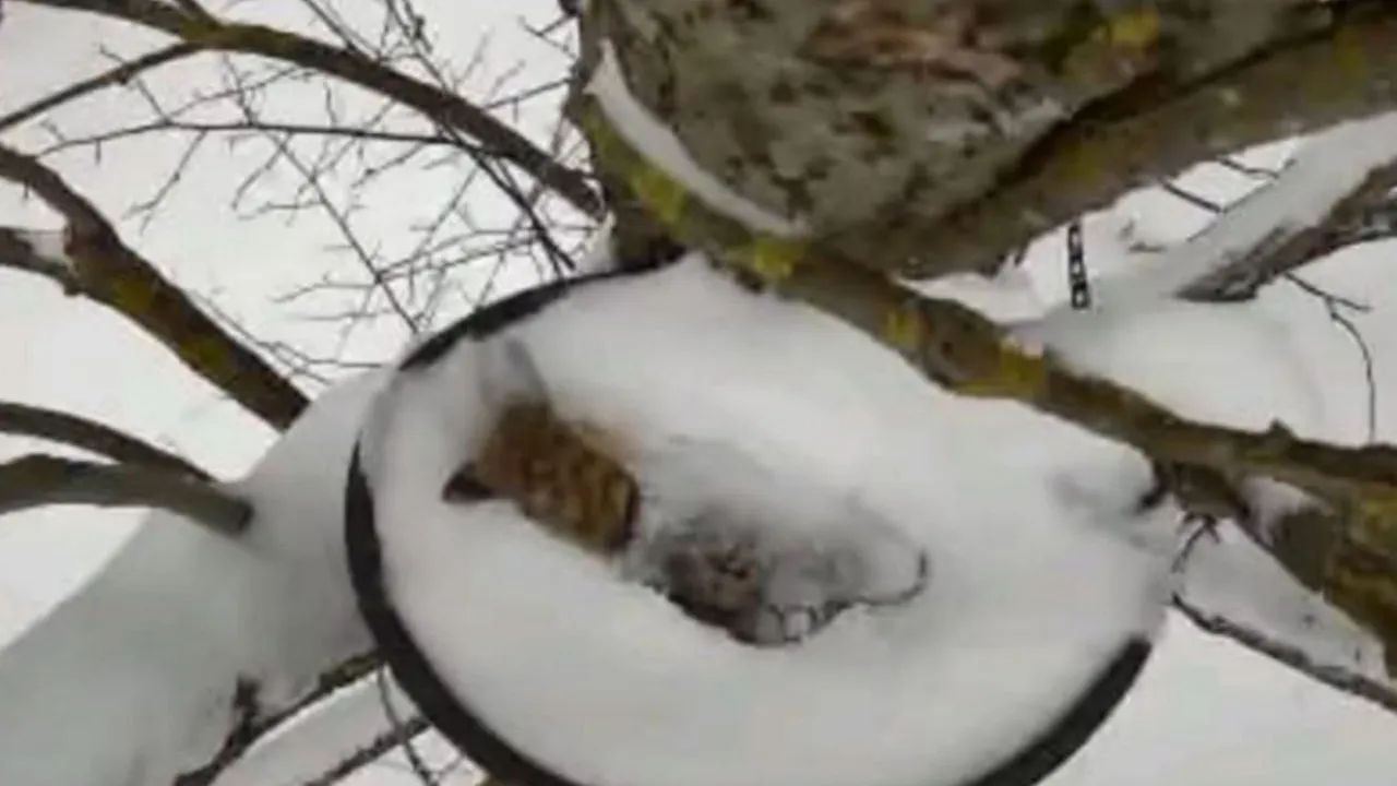 Фото предоставлено Ольгой Гринченко