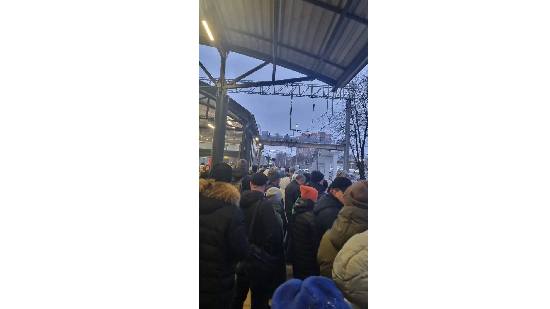 Фото: соцсети