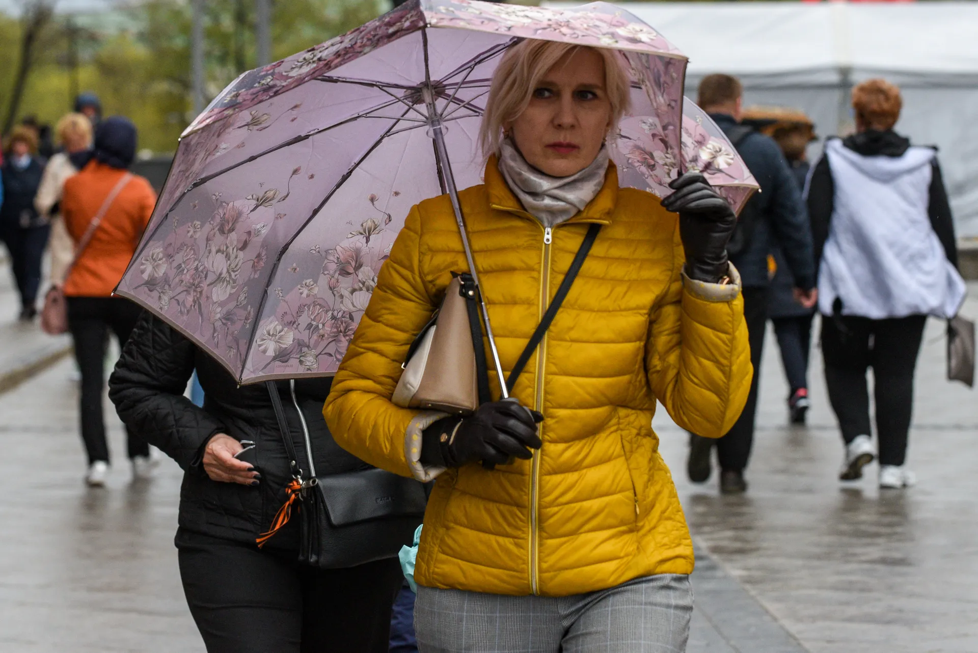 Фото: Медиаархив Московской области/Пелагия Тихонова