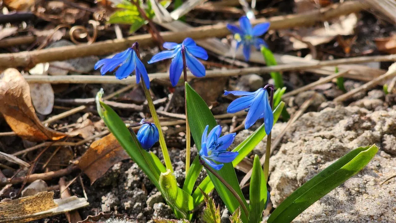 REGIONS/Валерия Тингаева