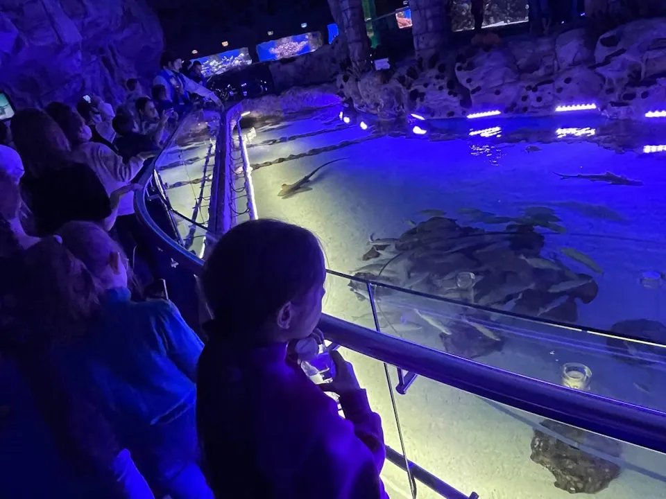 Фото: пресс-служба Администрации г.о. Чехов