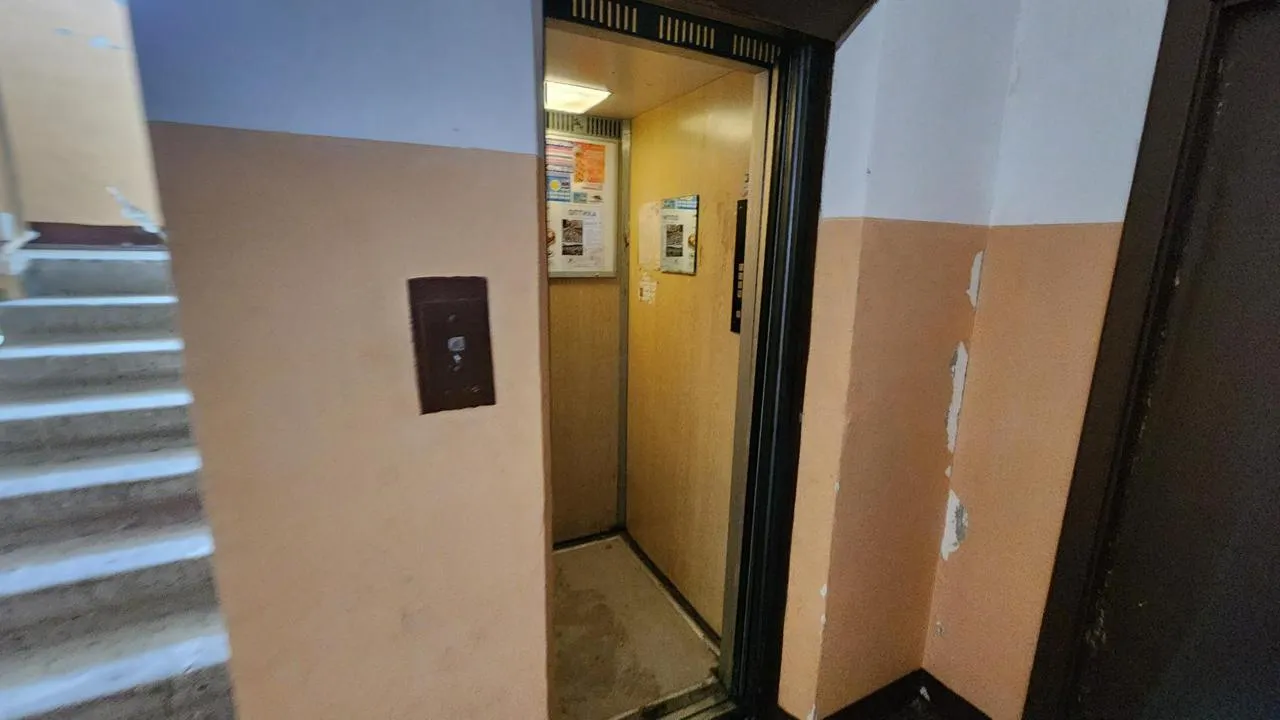 МедиаБанк Подмосковья/Екатерина Данилина